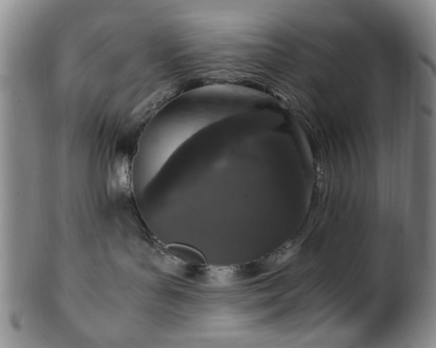 X0000100350143200806061123