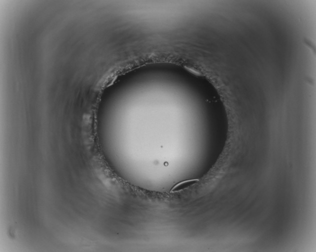 X0000100350144200806061123