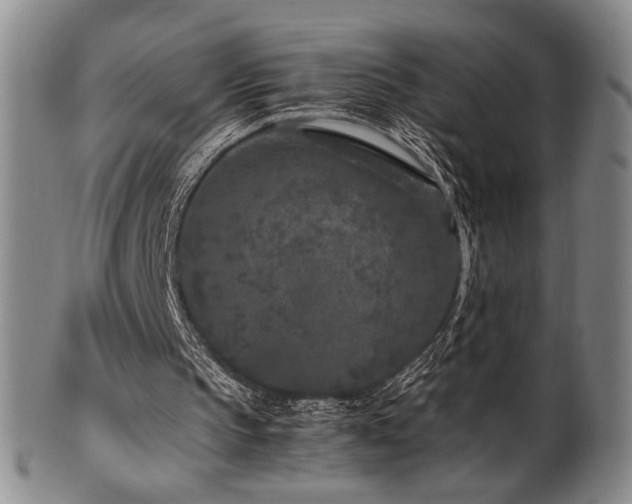 X0000100350145200806061122