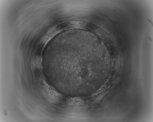 X0000100350146200806061122