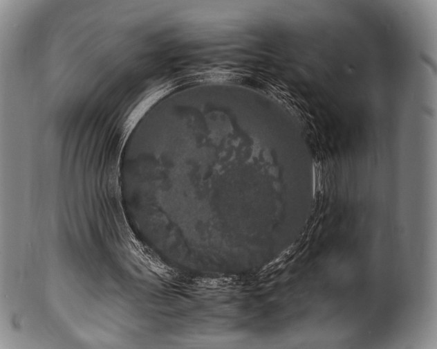 X0000100350147200806061122