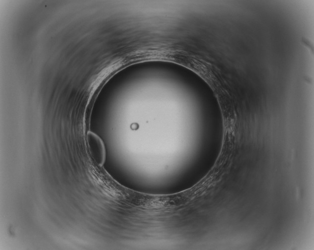 X0000100350148200806061122