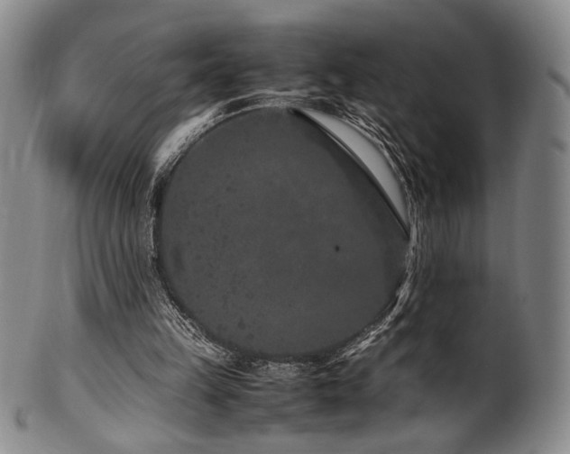 X0000100350149200806061122