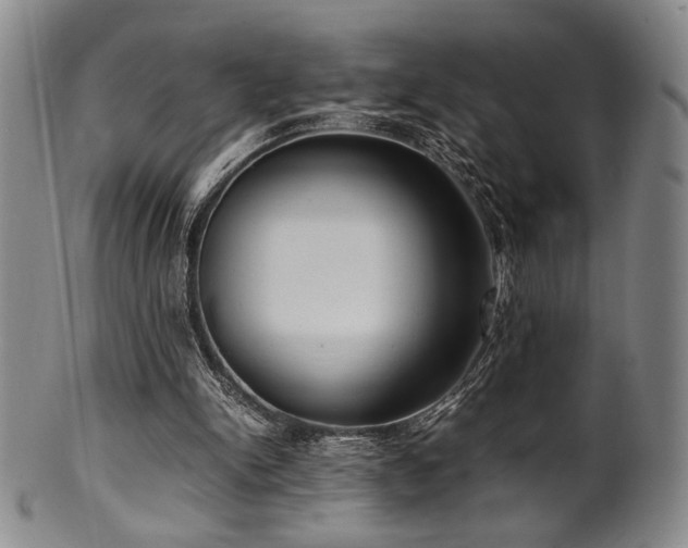 X0000100350150200806061122