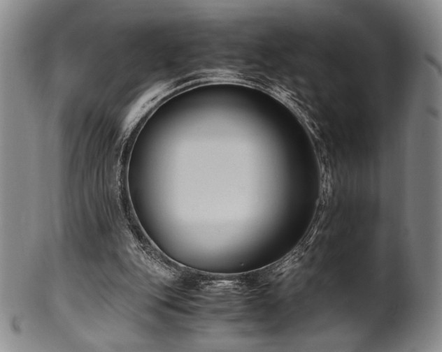 X0000100350151200806061122