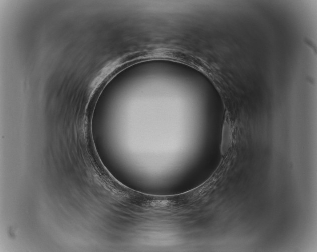 X0000100350152200806061122