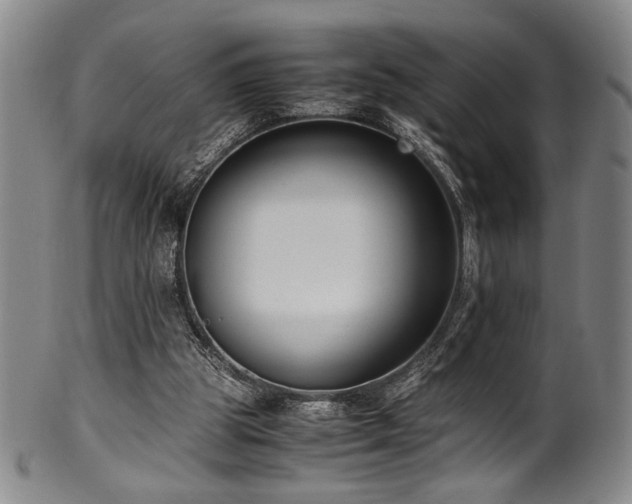 X0000100350153200806061122