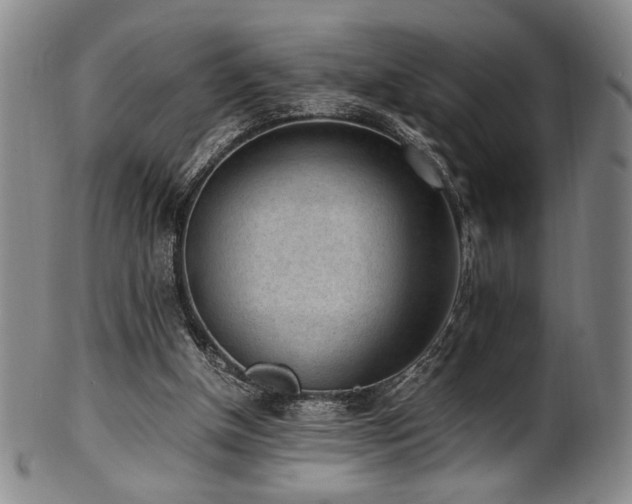 X0000100350154200806061122
