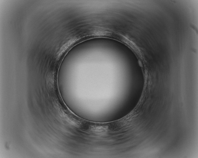 X0000100350155200806061122