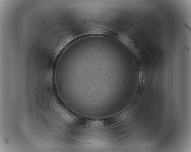 X0000100350156200806061122
