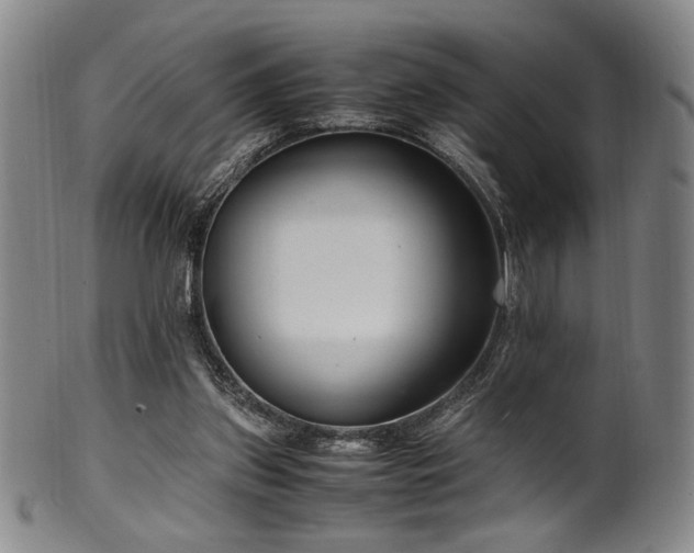 X0000100350157200806061122