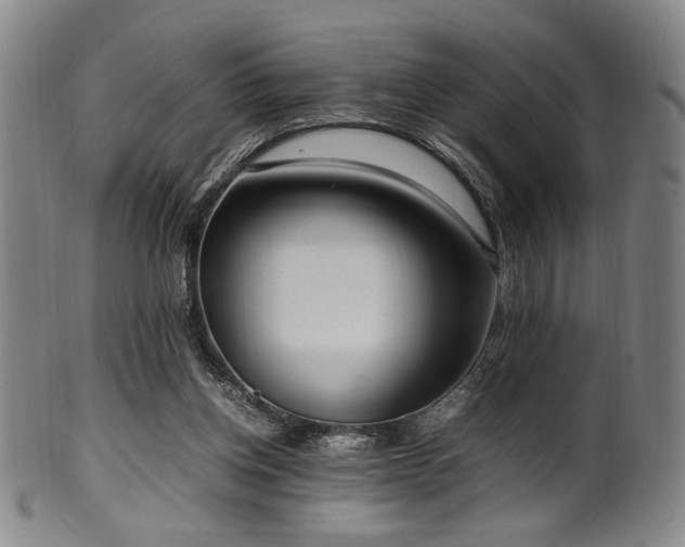X0000100350158200806061122