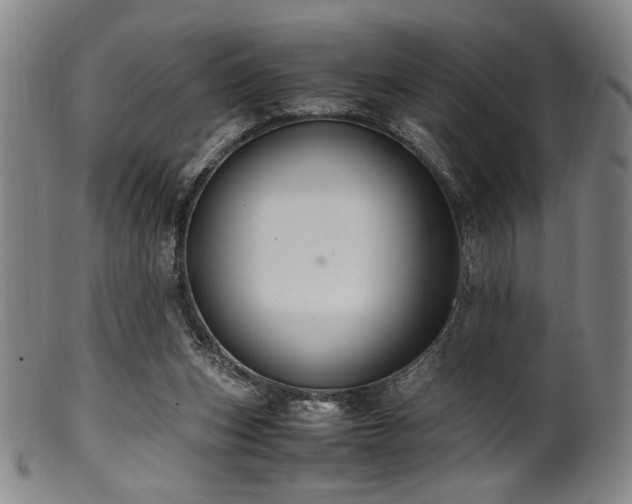 X0000100350159200806061122
