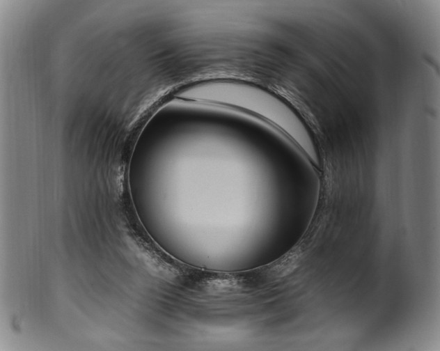 X0000100350160200806061122