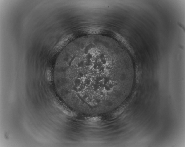 X0000100350161200806061122