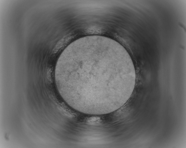 X0000100350162200806061122