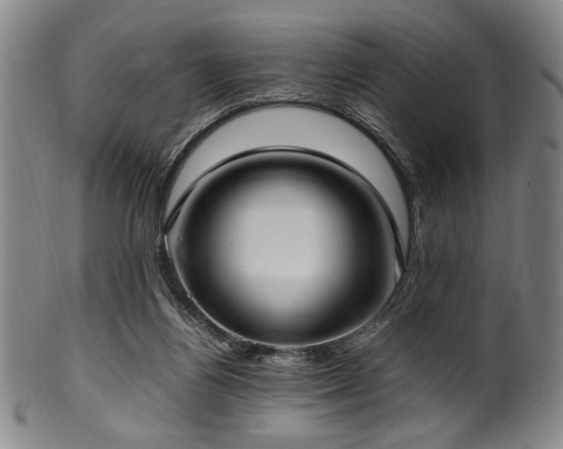 X0000100350164200806061122