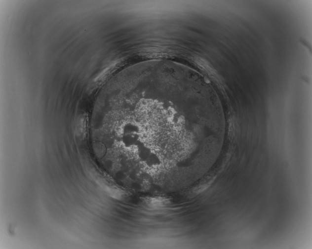 X0000100350165200806061122