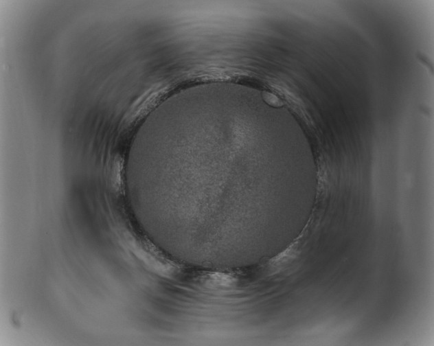 X0000100350166200806061122