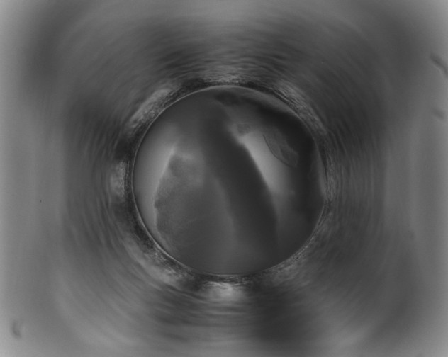 X0000100350167200806061122