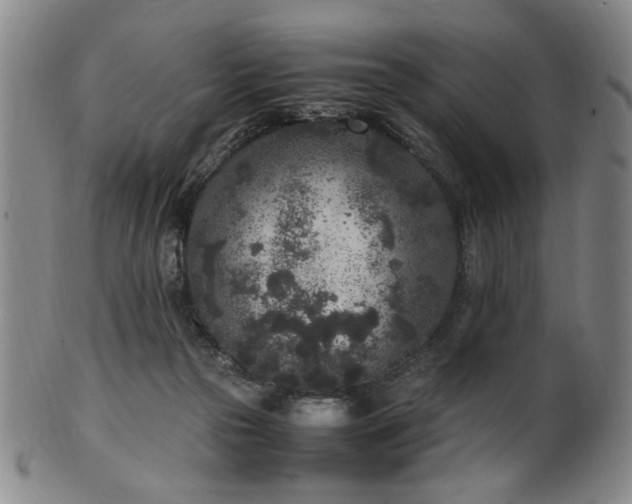 X0000100350169200806061122