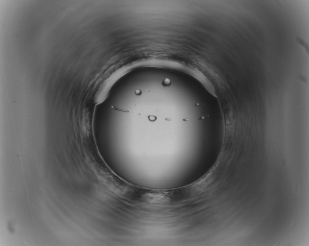 X0000100350170200806061122