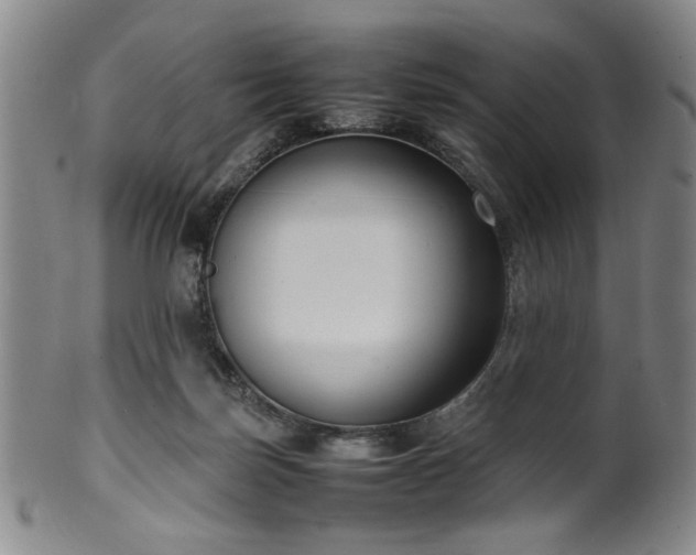 X0000100350171200806061122
