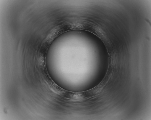 X0000100350173200806061122
