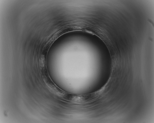 X0000100350174200806061122