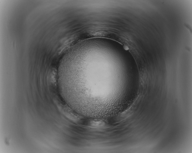 X0000100350175200806061122