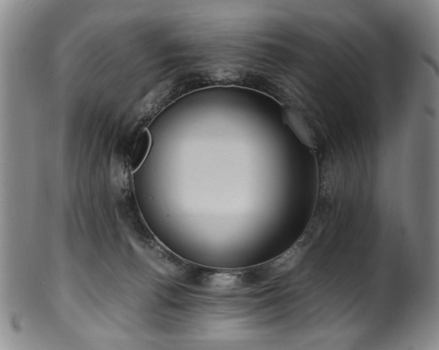 X0000100350176200806061122