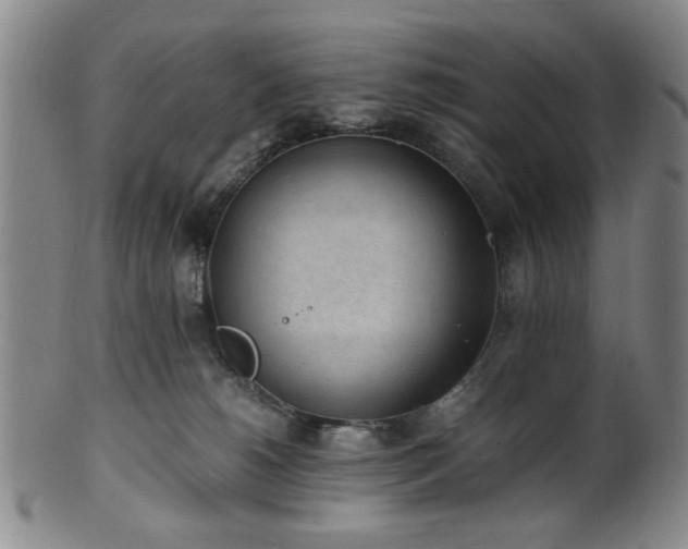 X0000100350180200806061123