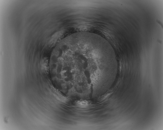 X0000100350181200806061123