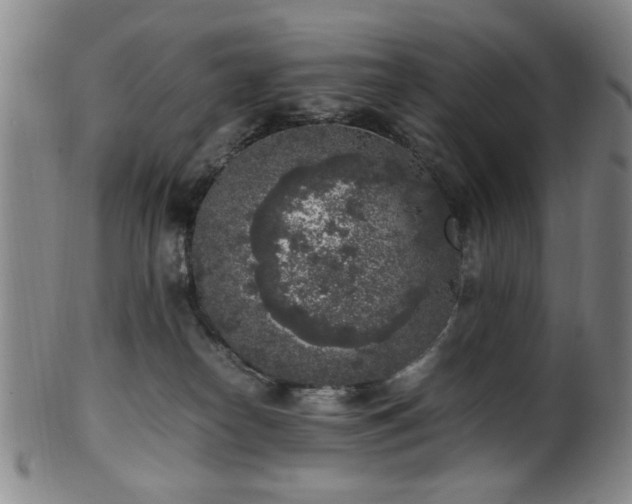 X0000100350182200806061123