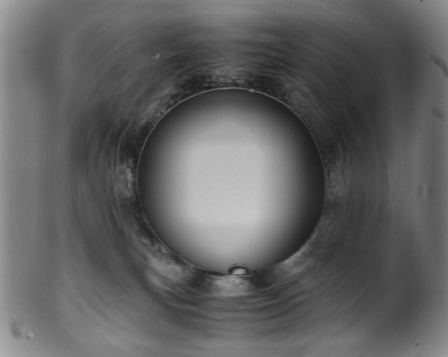 X0000100350183200806061123