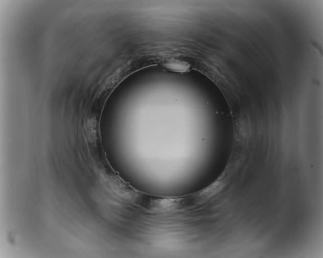 X0000100350184200806061123