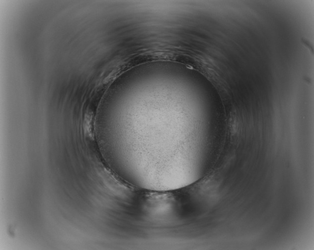 X0000100350185200806061123