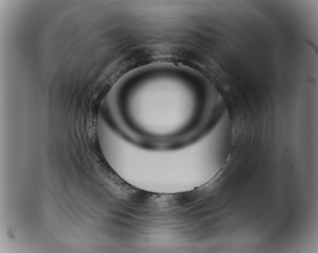 X0000100350186200806061123