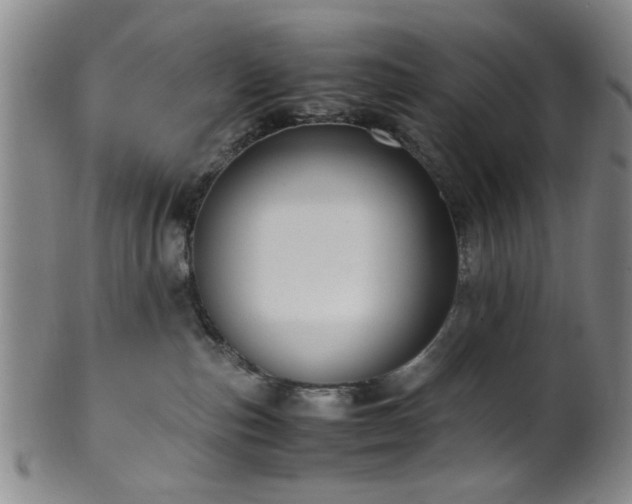 X0000100350187200806061123