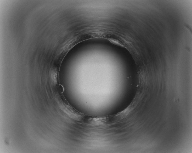 X0000100350188200806061123