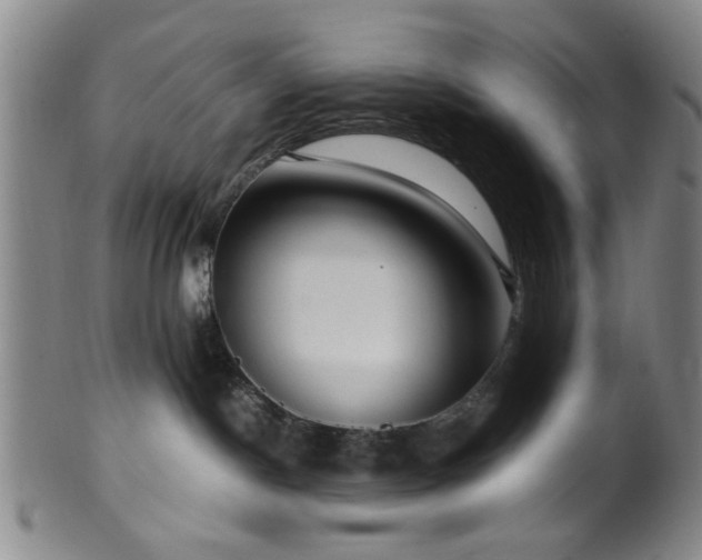 X0000100350190200806061123