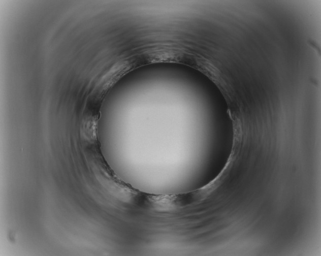 X0000100350191200806061123