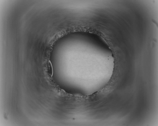 X0000100350192200806061123