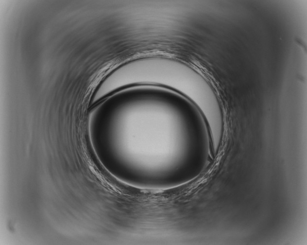 X0000100350193200806061122