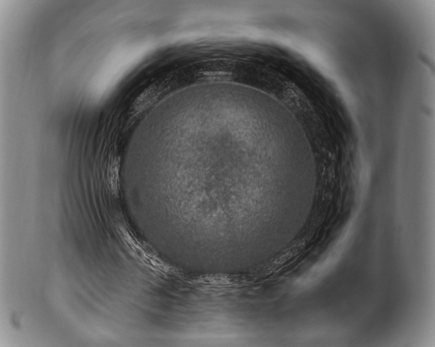 X0000100350194200806061122