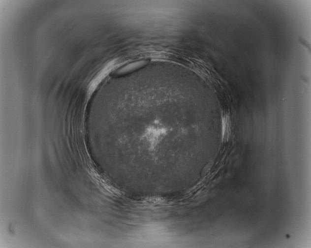 X0000100350195200806061122