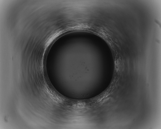 X0000100350196200806061122