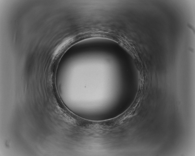 X0000100350197200806061122