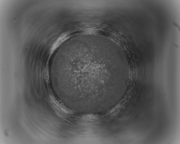 X0000100350198200806061122