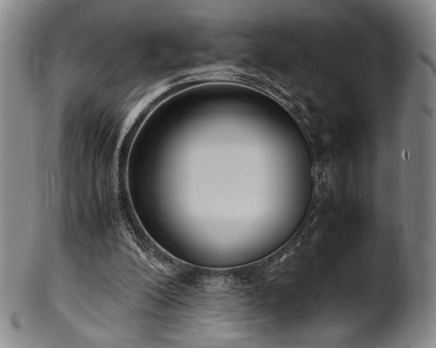 X0000100350200200806061122